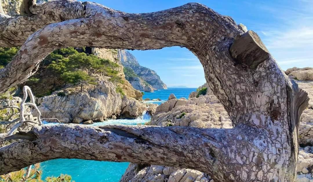 Mon Petit Paradis, Cassis Centre Apt 90 M2, 200 M Mer, Terr Plein Sud, Clim Park Prive 外观 照片